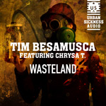 Tim Besamusca - Wasteland